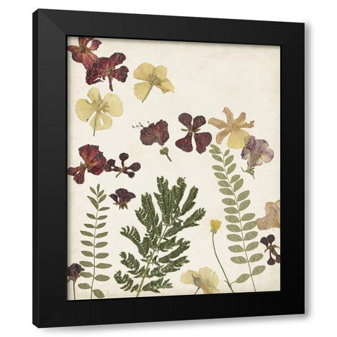 Pressed Flower Arrangement I Black Modern Wood Framed Art Print with Double Matting by Moore, Regina