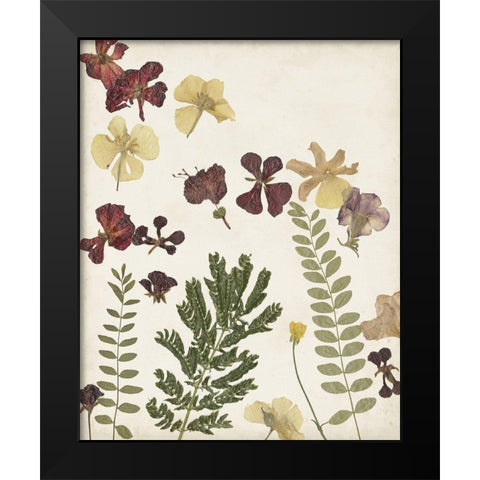 Pressed Flower Arrangement I Black Modern Wood Framed Art Print by Moore, Regina