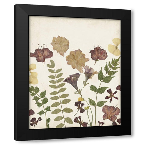 Pressed Flower Arrangement II Black Modern Wood Framed Art Print with Double Matting by Moore, Regina