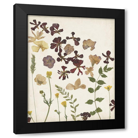 Pressed Flower Arrangement III Black Modern Wood Framed Art Print by Moore, Regina