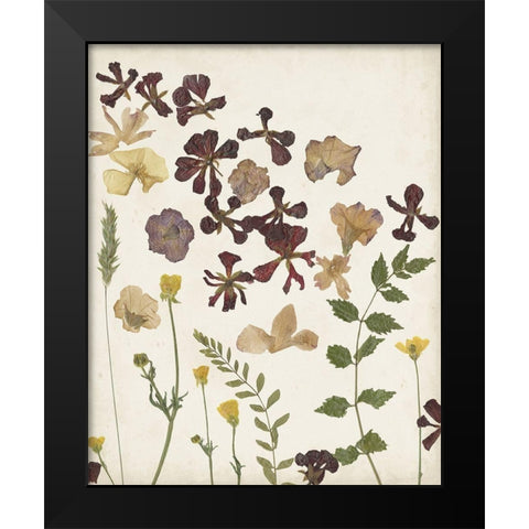Pressed Flower Arrangement III Black Modern Wood Framed Art Print by Moore, Regina