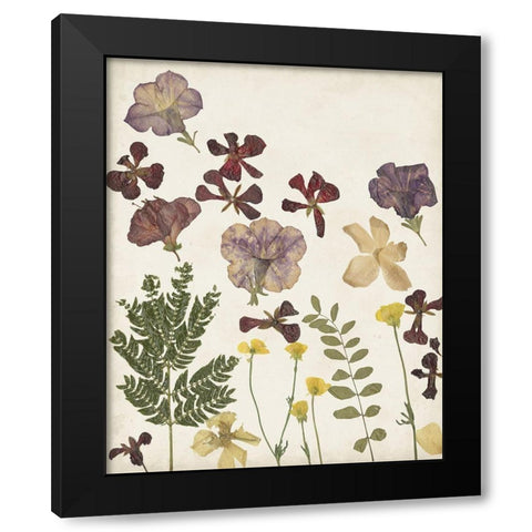 Pressed Flower Arrangement IV Black Modern Wood Framed Art Print by Moore, Regina