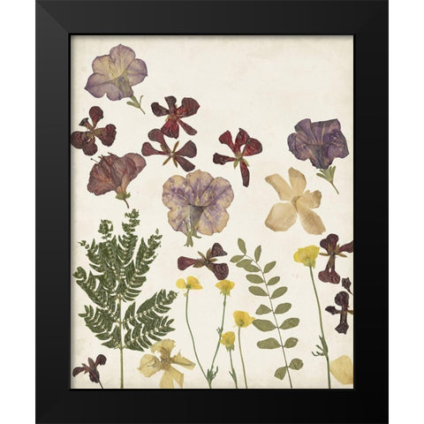 Pressed Flower Arrangement IV Black Modern Wood Framed Art Print by Moore, Regina