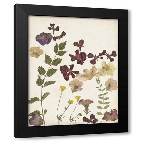 Pressed Flower Arrangement V Black Modern Wood Framed Art Print by Moore, Regina