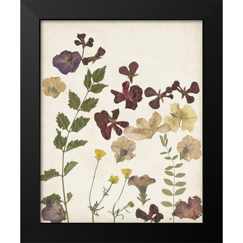 Pressed Flower Arrangement V Black Modern Wood Framed Art Print by Moore, Regina