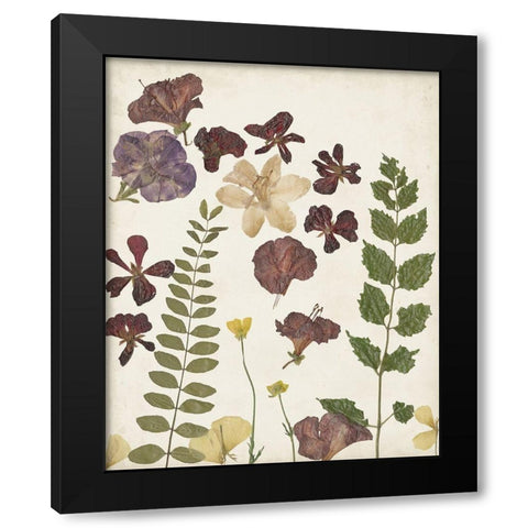 Pressed Flower Arrangement VI Black Modern Wood Framed Art Print with Double Matting by Moore, Regina