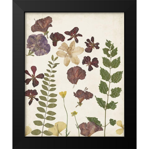 Pressed Flower Arrangement VI Black Modern Wood Framed Art Print by Moore, Regina