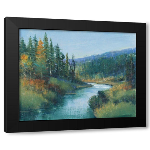 Trout Stream I Black Modern Wood Framed Art Print with Double Matting by OToole, Tim