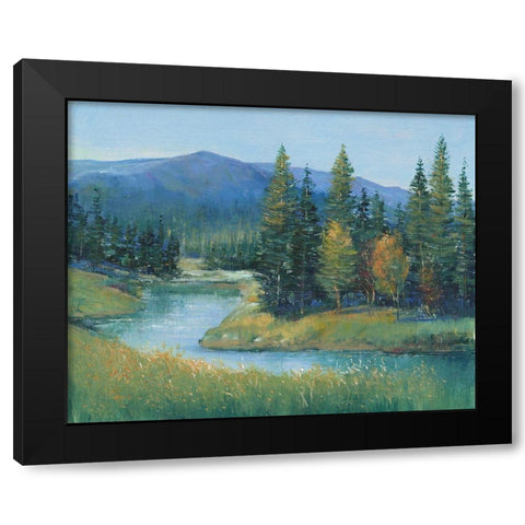 Trout Stream II Black Modern Wood Framed Art Print with Double Matting by OToole, Tim