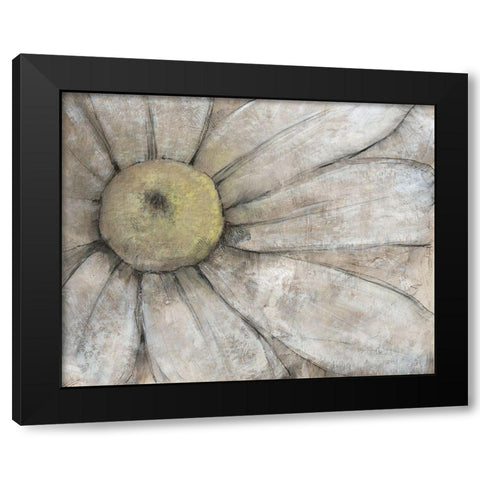 Close-Up Daisy I Black Modern Wood Framed Art Print with Double Matting by OToole, Tim