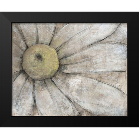 Close-Up Daisy I Black Modern Wood Framed Art Print by OToole, Tim