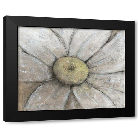 Close-Up Daisy II Black Modern Wood Framed Art Print with Double Matting by OToole, Tim