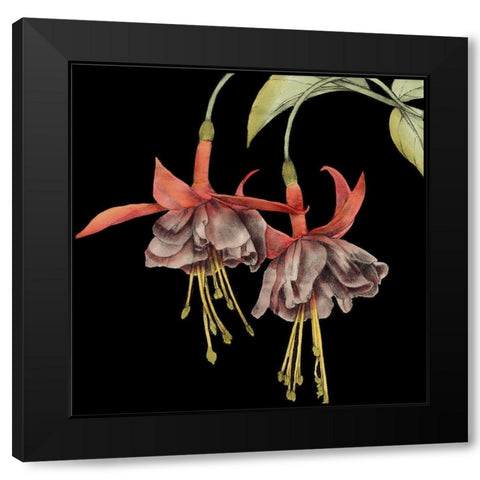 Graphic Fuchsia I Black Modern Wood Framed Art Print with Double Matting by Goldberger, Jennifer