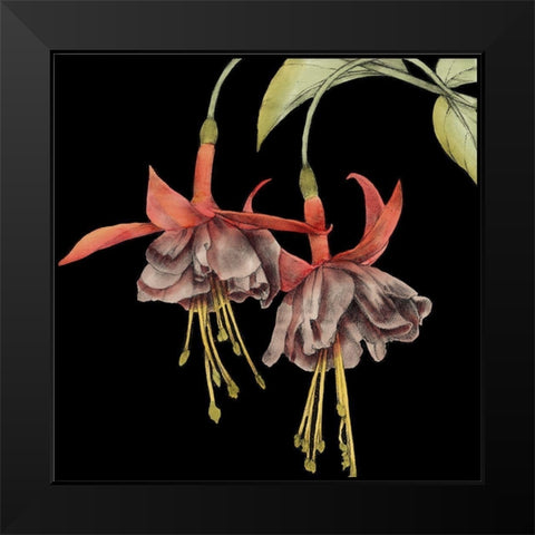 Graphic Fuchsia I Black Modern Wood Framed Art Print by Goldberger, Jennifer