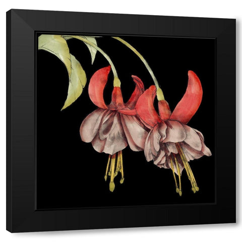 Graphic Fuchsia II Black Modern Wood Framed Art Print with Double Matting by Goldberger, Jennifer