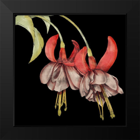 Graphic Fuchsia II Black Modern Wood Framed Art Print by Goldberger, Jennifer