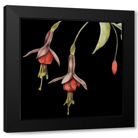 Graphic Fuchsia III Black Modern Wood Framed Art Print with Double Matting by Goldberger, Jennifer