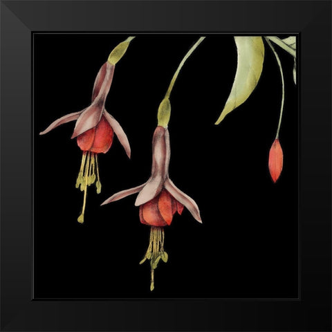 Graphic Fuchsia III Black Modern Wood Framed Art Print by Goldberger, Jennifer