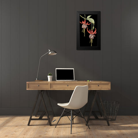 Graphic Fuchsia VI Black Modern Wood Framed Art Print by Goldberger, Jennifer