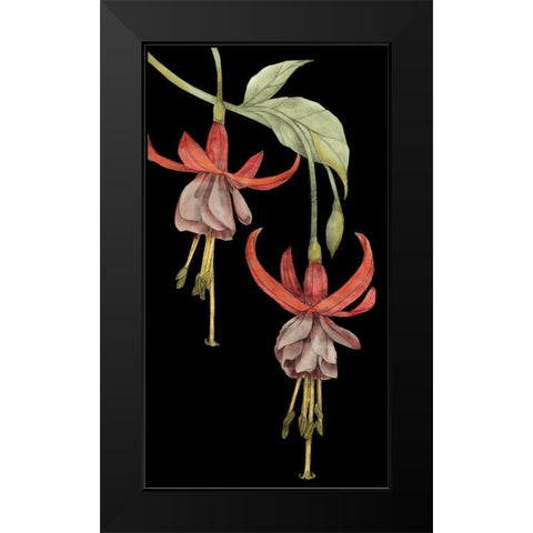 Graphic Fuchsia VI Black Modern Wood Framed Art Print by Goldberger, Jennifer