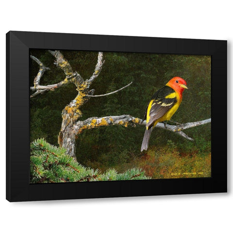 On the Branch I Black Modern Wood Framed Art Print with Double Matting by Vest, Chris