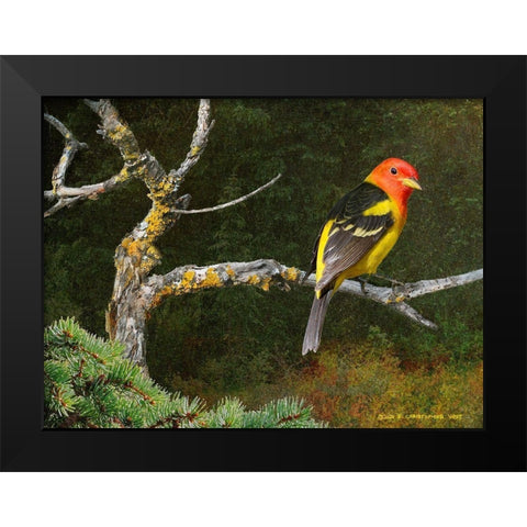 On the Branch I Black Modern Wood Framed Art Print by Vest, Chris