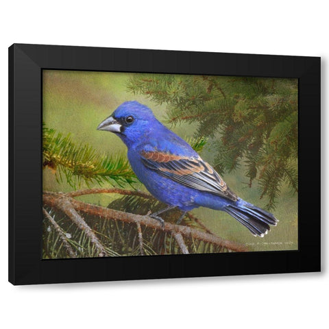 On the Branch II Black Modern Wood Framed Art Print by Vest, Chris