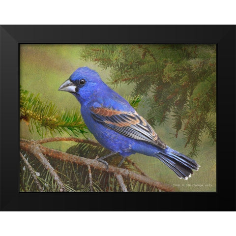 On the Branch II Black Modern Wood Framed Art Print by Vest, Chris