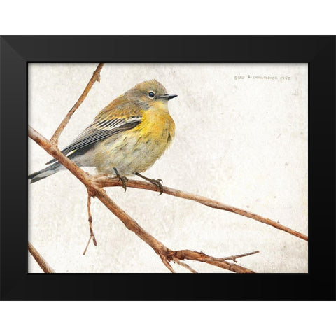 On the Branch III Black Modern Wood Framed Art Print by Vest, Chris
