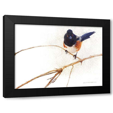On the Branch IV Black Modern Wood Framed Art Print with Double Matting by Vest, Chris