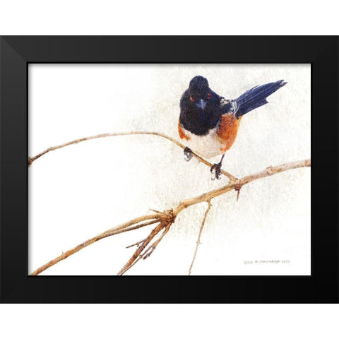 On the Branch IV Black Modern Wood Framed Art Print by Vest, Chris