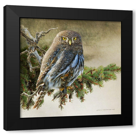 On the Branch VI Black Modern Wood Framed Art Print by Vest, Chris