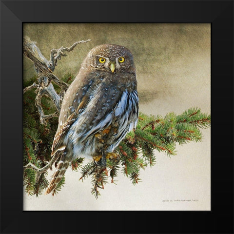 On the Branch VI Black Modern Wood Framed Art Print by Vest, Chris