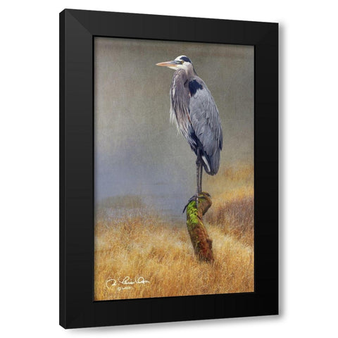In the Water I Black Modern Wood Framed Art Print with Double Matting by Vest, Chris