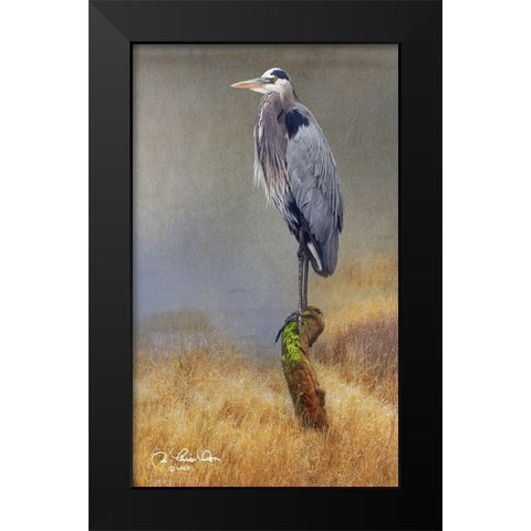 In the Water I Black Modern Wood Framed Art Print by Vest, Chris