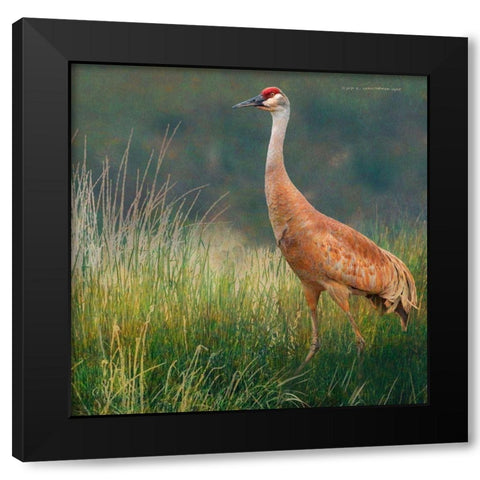 In the Water II Black Modern Wood Framed Art Print by Vest, Chris