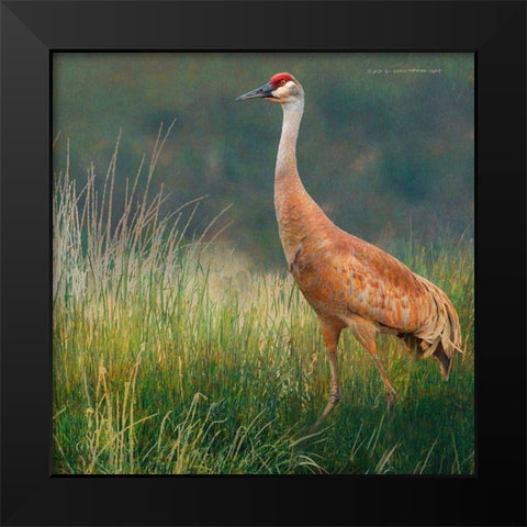 In the Water II Black Modern Wood Framed Art Print by Vest, Chris