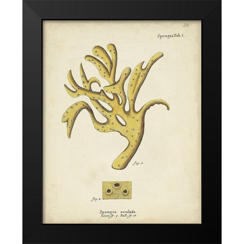 Ecru Coral XII Black Modern Wood Framed Art Print by Esper, Johann