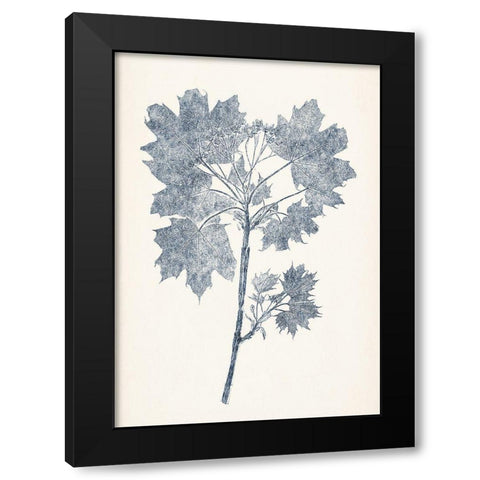 Navy Botanicals I Black Modern Wood Framed Art Print with Double Matting by Vision Studio