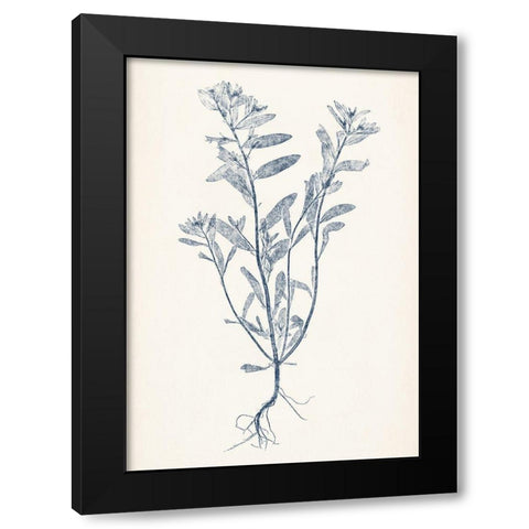 Navy Botanicals II Black Modern Wood Framed Art Print with Double Matting by Vision Studio