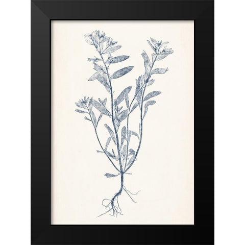 Navy Botanicals II Black Modern Wood Framed Art Print by Vision Studio