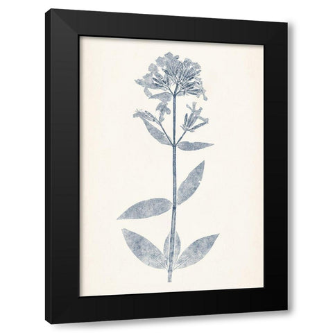 Navy Botanicals V Black Modern Wood Framed Art Print with Double Matting by Vision Studio