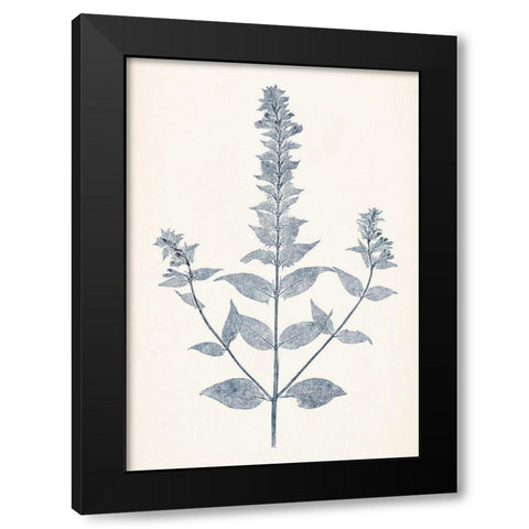 Navy Botanicals VII Black Modern Wood Framed Art Print with Double Matting by Vision Studio