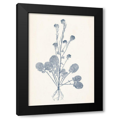 Navy Botanicals VIII Black Modern Wood Framed Art Print with Double Matting by Vision Studio