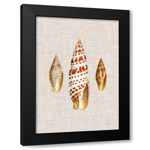 Antique Shells on Linen I Black Modern Wood Framed Art Print with Double Matting by Vision Studio