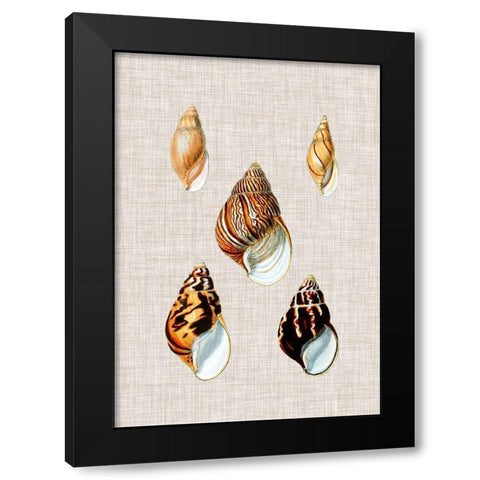 Antique Shells on Linen II Black Modern Wood Framed Art Print by Vision Studio