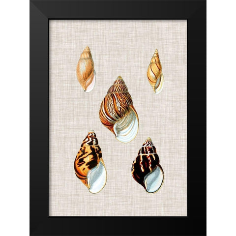 Antique Shells on Linen II Black Modern Wood Framed Art Print by Vision Studio