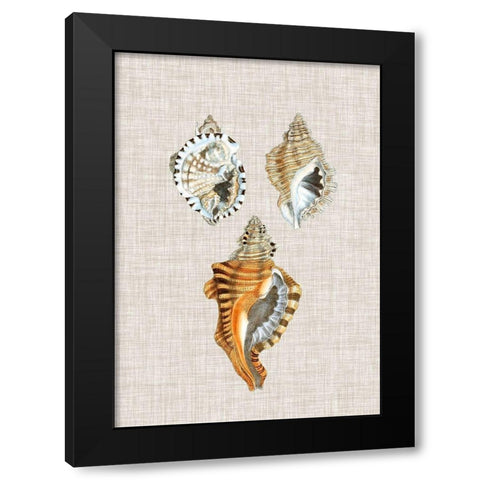 Antique Shells on Linen III Black Modern Wood Framed Art Print by Vision Studio