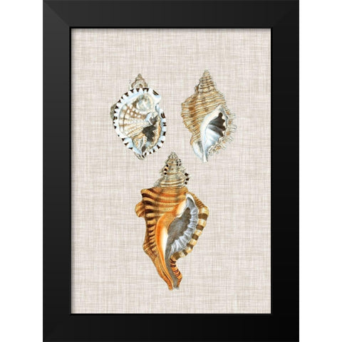 Antique Shells on Linen III Black Modern Wood Framed Art Print by Vision Studio