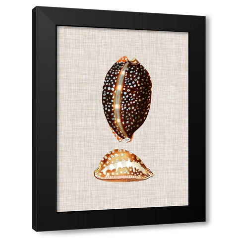 Antique Shells on Linen IV Black Modern Wood Framed Art Print by Vision Studio